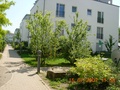 Suche Zwischenmieter ab Juli 2009 b 11934