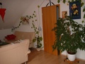 2 1/2 zimmer DG Wohnung Horb-Dettensee Bj 91,Laminatboden,Balkon,Abstellraum,Stellplatz,hell und sauber   21748