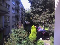 1 Zimmerwohnung mit Küche und Balkon an der Grenze von Südstadt und Kessenich (1. OG), teilmöbliert, ab 15.04. 77515