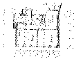 Repräsentative Büro- oder Wohnräume im Herzen von Halle (Saale) 64062