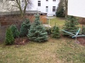 Preiswerte sonnige 2-R-Whg.in Magdeburg-Stadtfeld  san. Altbau; im 2.OG  ca. 60  m²  mit  Balkon 79355