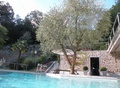 Luxus Villa mit Blick auf den Luganer See 529393