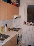 suche Nachm f. helle 3ZKB renoviert 9174