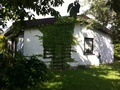 Wunderschönes Einfamilienhaus in Toplage zu vermieten.  99744