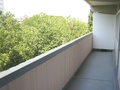 Sonnige 2 Zimmer Wohnung mit Balkon 576820