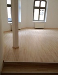 Neu sanierte  sonnige 4,-R-Wohnung,in Magdeburg -Stadtfeld Ost ca.105m² im EG .zu vermieten ! 664903