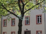 TOP Singlewohnung mit Westbalkon 25567