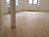 Neu sanierte  sonnige 4,-R-Wohnung,in Magdeburg -Stadtfeld Ost ca.105m² im EG .zu vermieten ! 664903