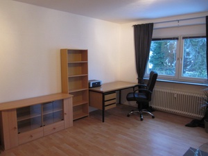 Helle, schöne 1-Zimmer Wohnung, zentral, auf Wunsch möbliert 67068