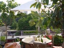 Exclusive Penthousewohnung in Sossenheim 27