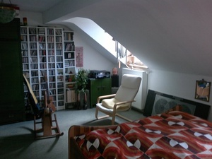 Tolle 2 Zimmer Dachgeschoss Wohnung in Freiburg 221301