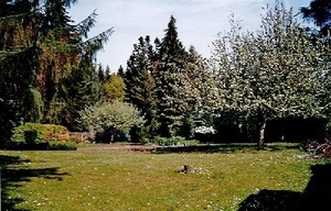 Herrliches Gartengrundstück - als Zweitwohnsitz 142250