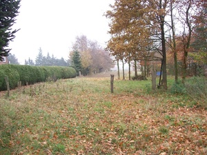 Wenn Sie die ruhige Landluft lieben - sind Sie hier richtig  272978