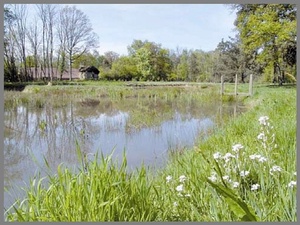 Historisches Chateau im Burgund 222227