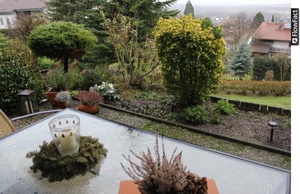 Terrassenwohnung mit herrlichem Blick in die Rheinebene 390489