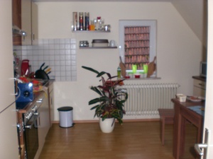 2,5 Zimmer-Dachwohnung ,Widdern,A81 Möckmühl,30km nördl.HN 73721