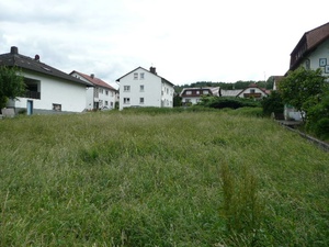 UNBEBAUTES Grundstück sucht Grossfamilie, viel Haus mögich, Prov FREI  52562