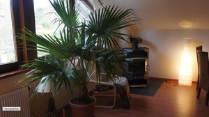 - Möblierte 75m² 2 Zimmer Wohnung in Bonn-Beuel zur Miete auf Zeit 359506