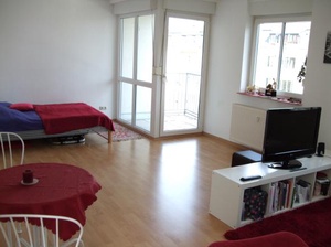 Helle 1-Raum Wohnung mit großem Bal 14302