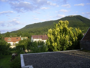 Sonnige 3 Zimmer Wohnung  19697