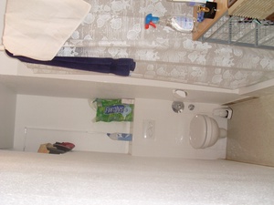 1-Zimmer-Wohnung, zentral gelegen und neu renoviert 32476