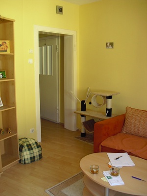 2,5 Raum Wohnung in Schlossparknähe 53036