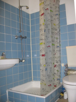 Unterschlupf für Wochenendpendler, 1 Zimmer Wohnung (1ZW), 16qm., Kochnische (EBK), WC/Dusche Mieten in Götzenmühlweg 64, 61350 Bad Homburg v.d.H. 69903