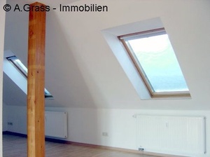 moderne helle 2-Raum-Wohnung im saniertem Altbau/ offener Küche/Laminat/Balkon/DSL ! 252744