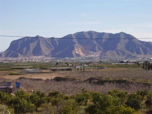 Top-renovierte Finca mit herrlicher Blick auf die umliegenden Berge! Albatera / Alicante 87065