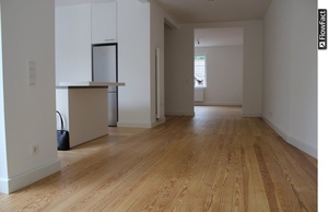 Vermietet!!!!!!!Neu sanierter Altbau - Moderner, offener Loftcharakter  274358